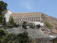 田中宇都3地区(擁壁工,法面工)